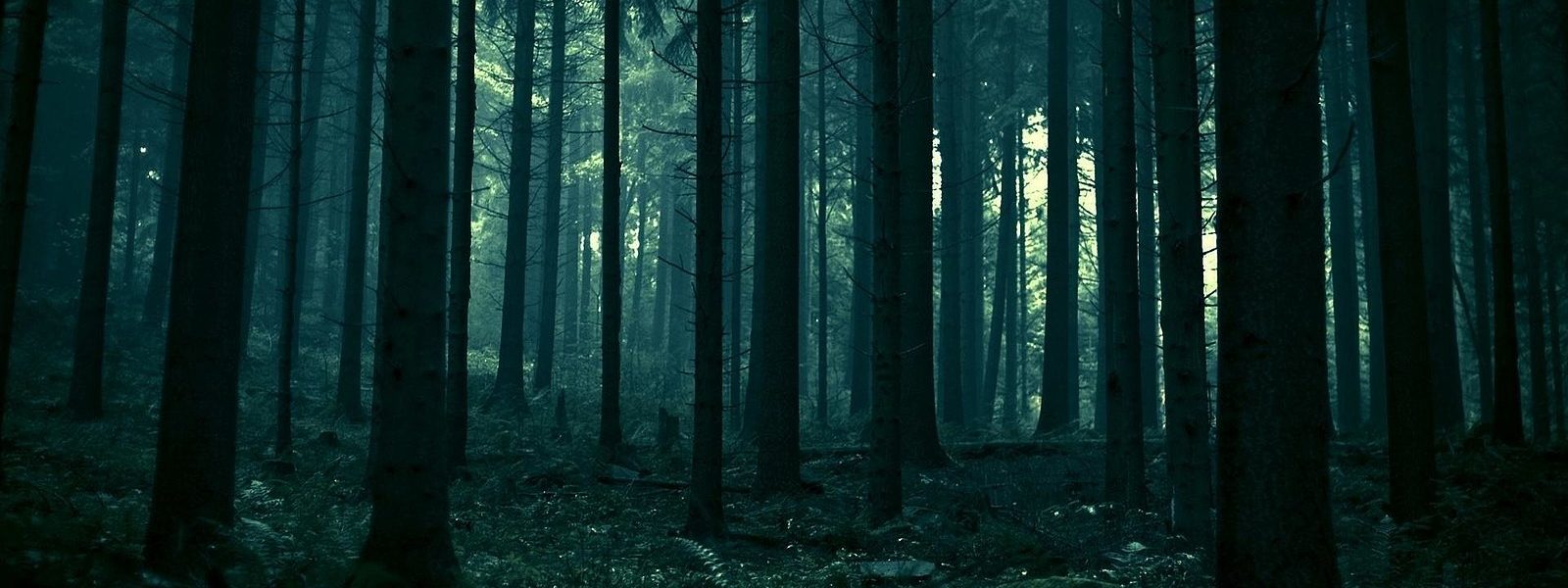 Why the Dark Forest Theory is (probably) wrong, by Dominikbutz, Predict